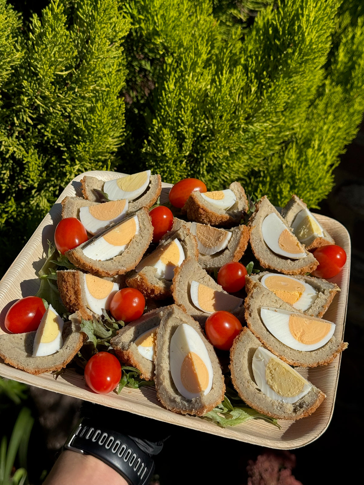 Scotch Egg Quarters (16x)