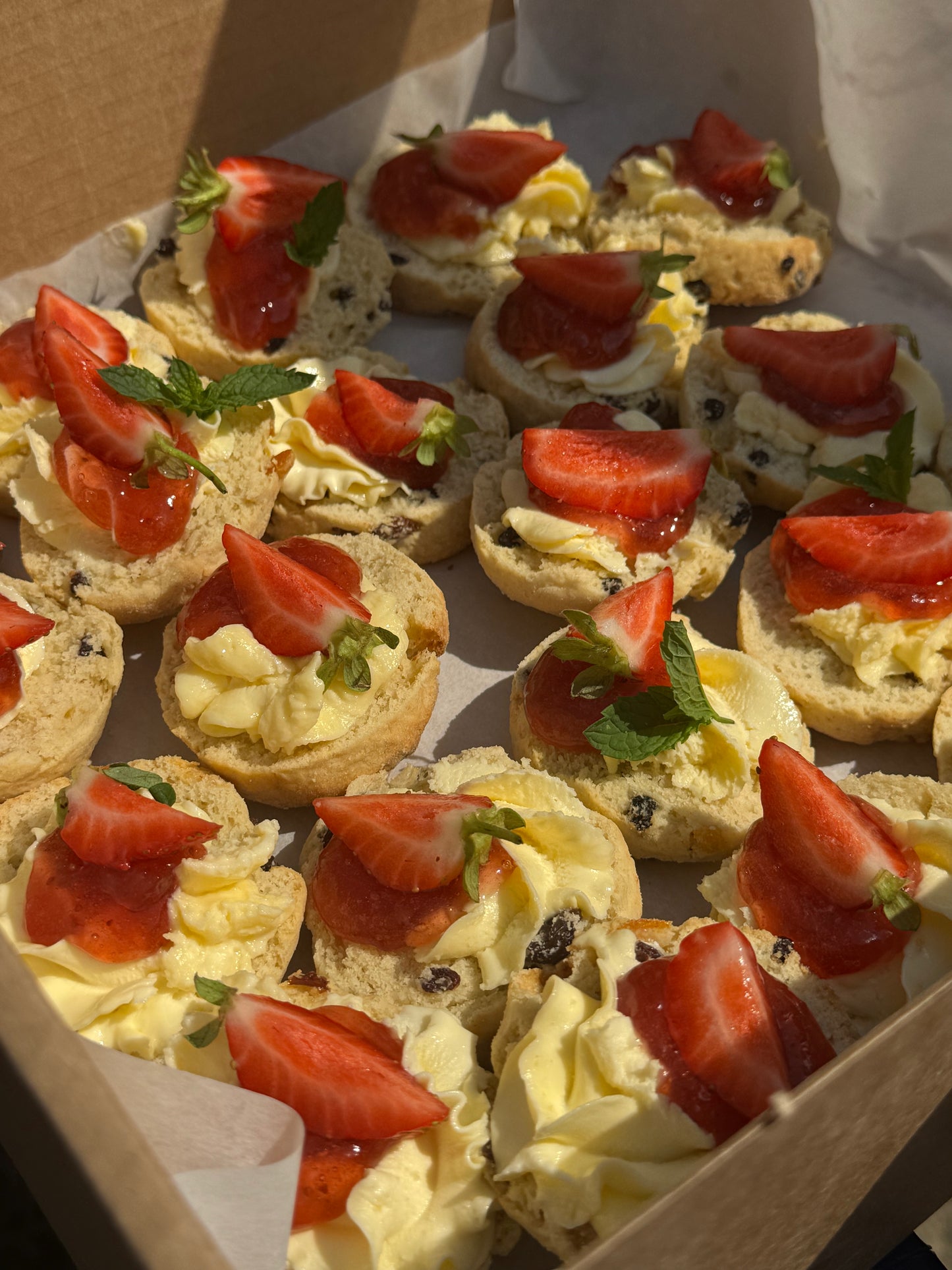 Mini Scone Halves (12x)